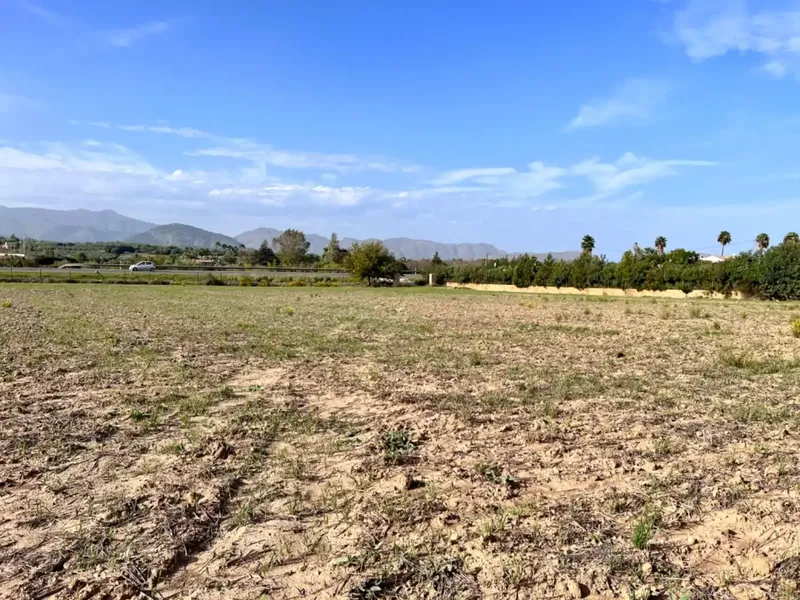 On the outskirts of Alcudia, we have this finca of about 12,900 m2 of land, with a water well, fenced finca, with 1 building in ruins. — photo 2