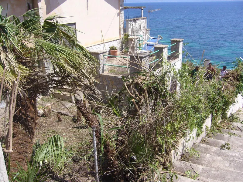 For Sale – Premium Villa Plot in Aucanada, Alcúdia — photo 5