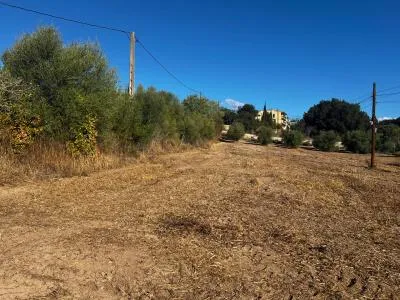 Rustic property - Campanet , Plot Surface 1765m 2 . — photo 3