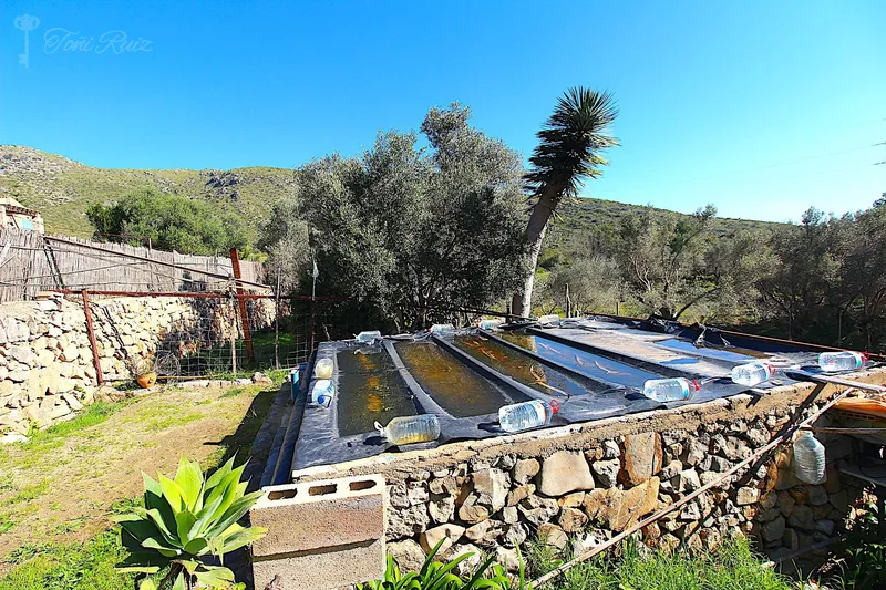 Rustic Finca — photo 11