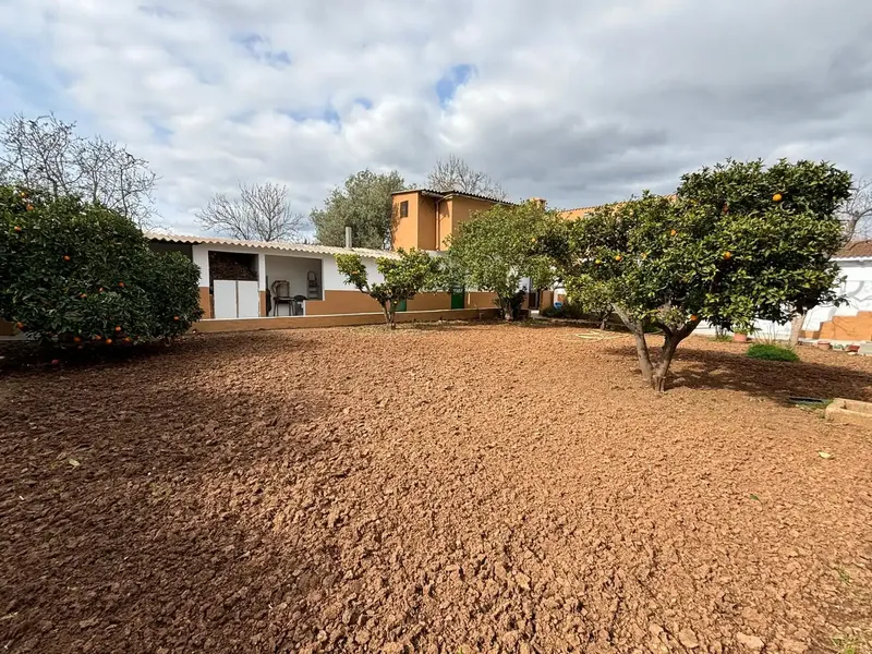 Investment opportunity in Cas Metge – Marratxí — photo 4