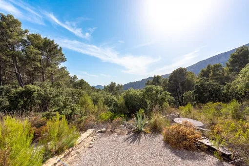 Puigpunyent, a hidden jewel in the heart of the Tramuntana mountains — photo 6