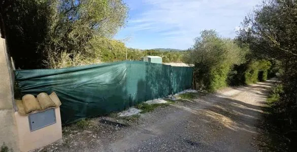 Rustic Land - Manacor (Manacor Centro), Plot Surface 2600m² — photo 4