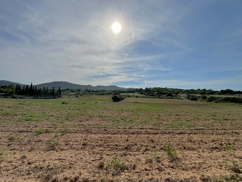 House / Chalet in Manacor — photo 5