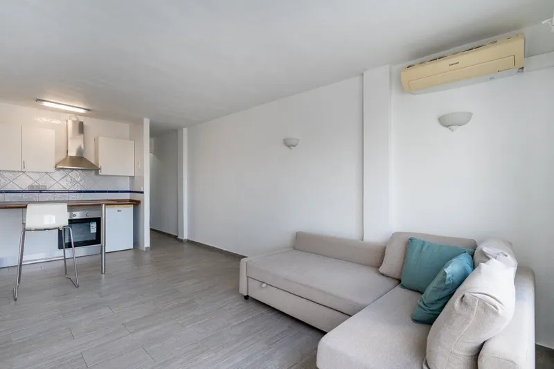 Bright Studio Apartment with Spacious Terrace in El Terreno — photo 12