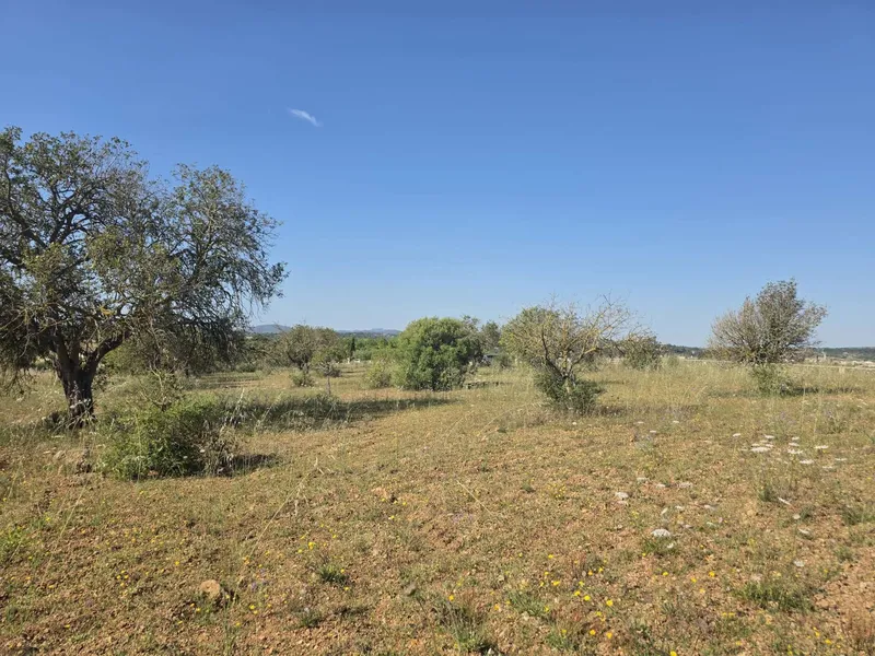 Exclusive building plot with panoramic views — photo 6