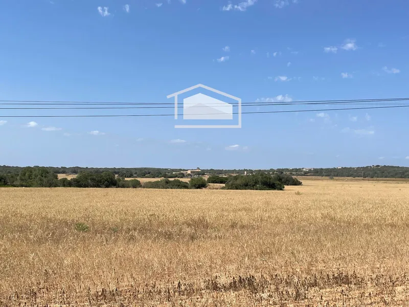 Buildable rustic plot of 16,237 m² in Ses Salines with approved project — photo 5