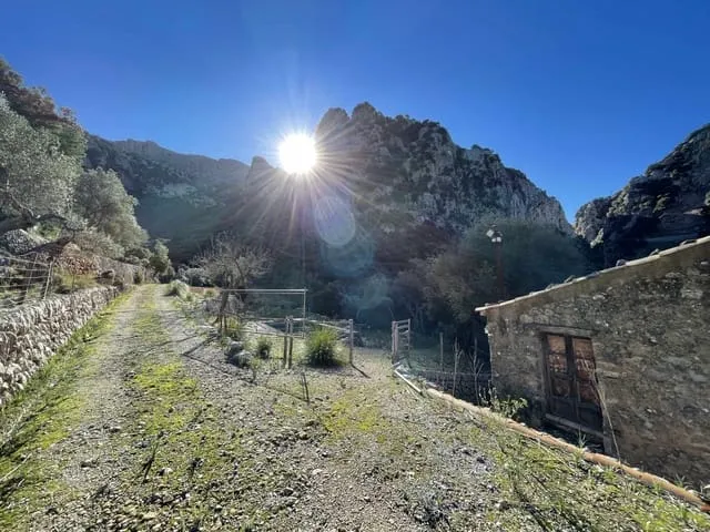 Finca/Country House for sale in Escorca, Mallorca — photo 5