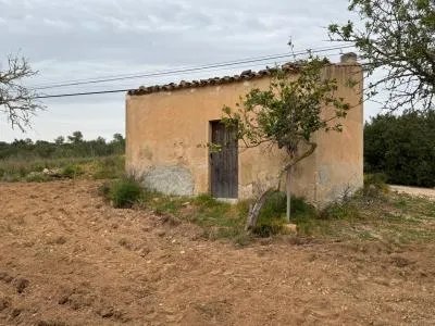Rural Land - Porreres — photo 2