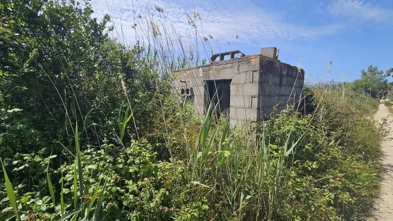 Rustic estate in S'Albufera, Sa Pobla — photo 1