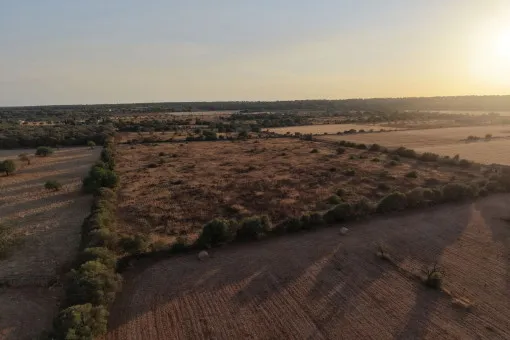 Campos, Idyllic Plot with Panoramic Views and New-Build Project between Campos and the Coast — photo 10