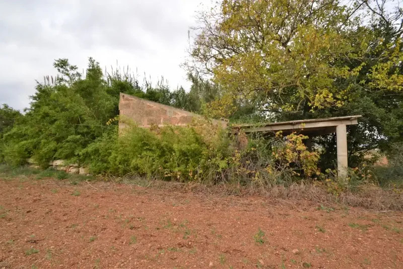Plot of 15300 square meters with tool shed to be renovated — photo 3