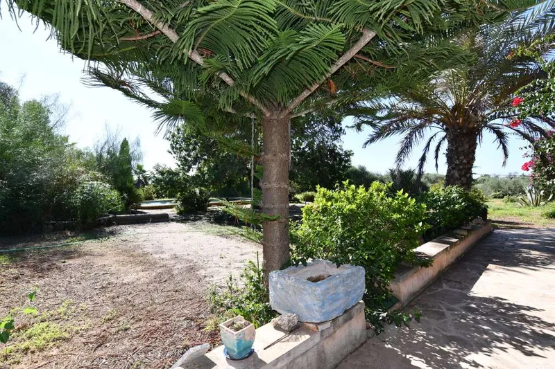 Country house to reform about 500 meters from Santanyi — photo 4
