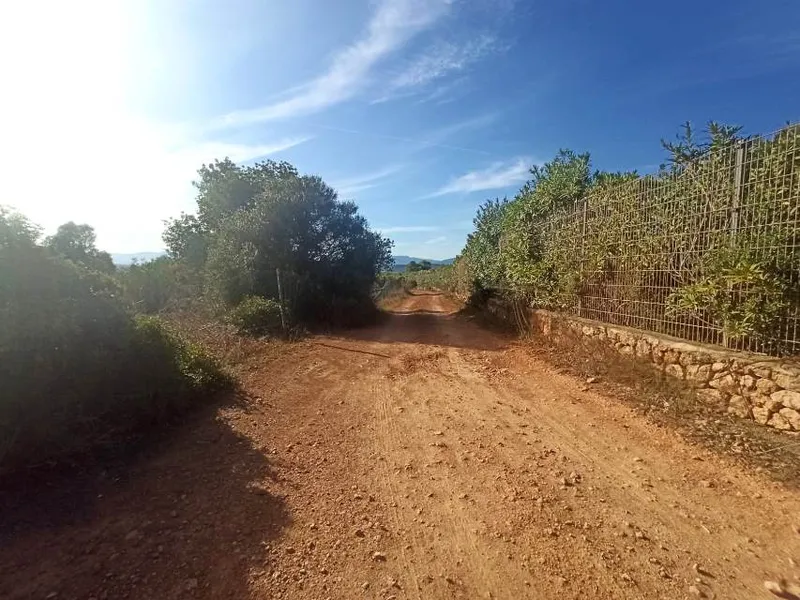 Country building plot of 77,648 m² in Son Gual area with building license, Palma — photo 7