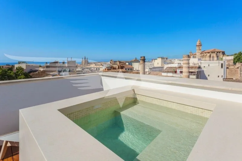 Palma Old Town l Town villa with roof terrace and pool — photo 1