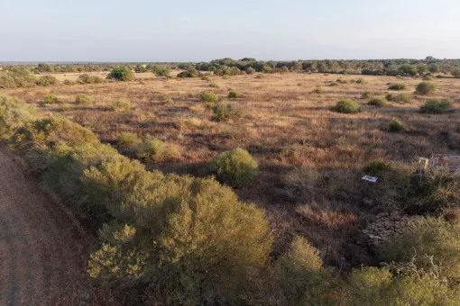 Campos, Idyllic Plot with Panoramic Views and New-Build Project between Campos and the Coast — photo 11