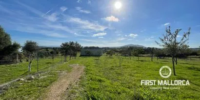 Real estate picture 0 Ref. No. 82897 — photo 1