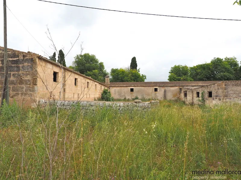 Rustic finca in Maria de la Salut — photo 8