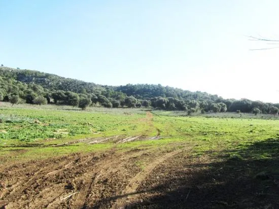 Nice finca near Alcudia with views, 135,000 m², very big, with possibility to build a villa — photo 8