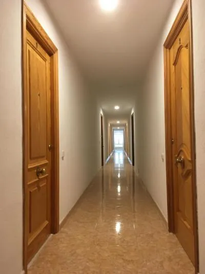 Apartment in Calvià (Santa Ponça) with 44 m² built surface, 7 m² terrace, 1 room, 1 bathroom, 100 m to the sea, lift — photo 7