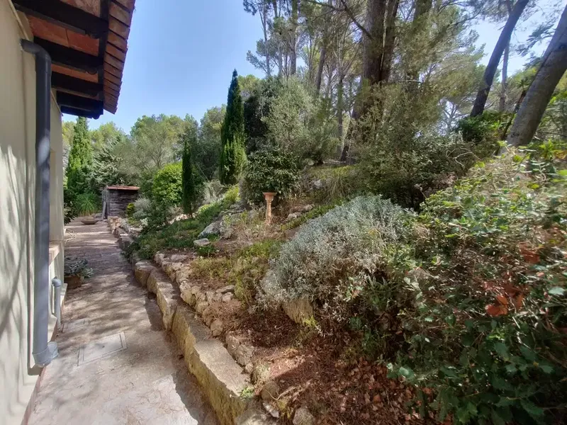 Charming rural property in Galilea — photo 8
