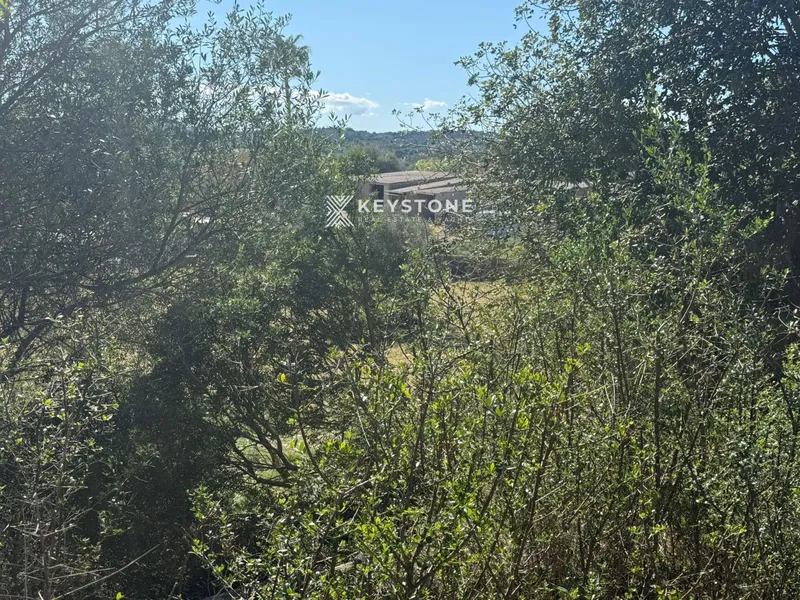 Plot — photo 6