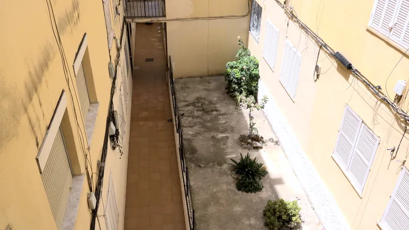 Title — photo 3