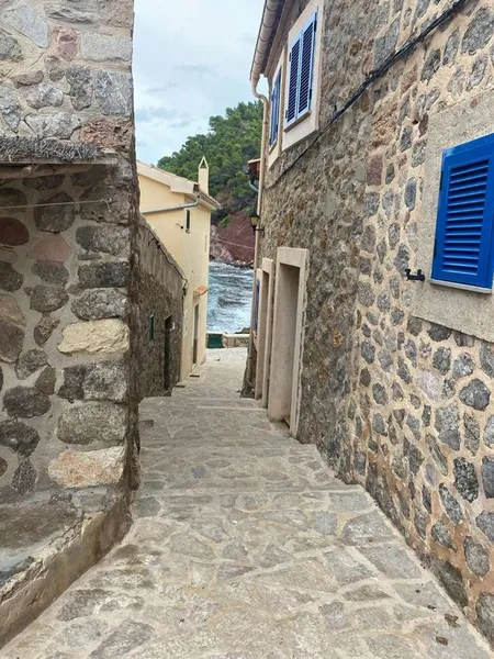 Luxury home in Valldemossa, Province of Balearic Islands — photo 12