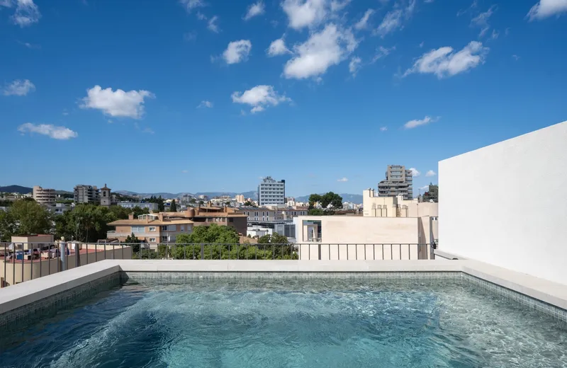 Fantastic penthouse in Son Armadams with roof terrace and private pool — photo 2