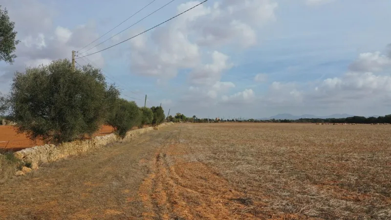 Large plot with beautiful construction project of a Finca in Campos — photo 7