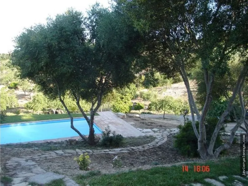 Rural house rental in the countryside — photo 2