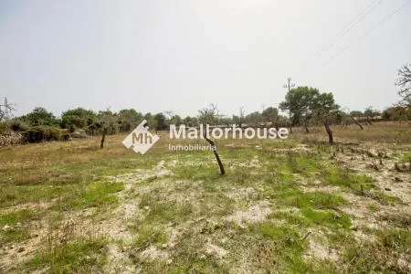 Rural Land - Santa Margalida, Plot Surface 14310 m², Distance to the Sea 6 km — photo 5