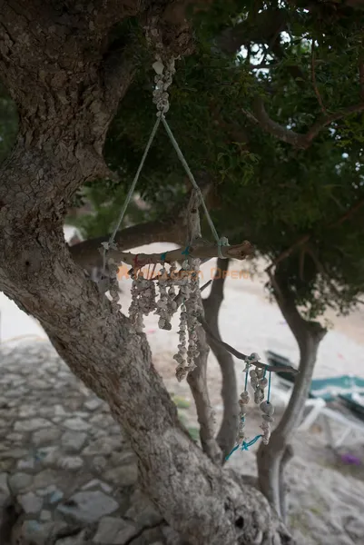 Beachfront house in Cala Bona — photo 12