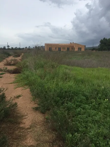 House in Campos — photo 5