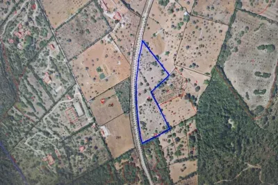 Land in Son Servera — photo 2