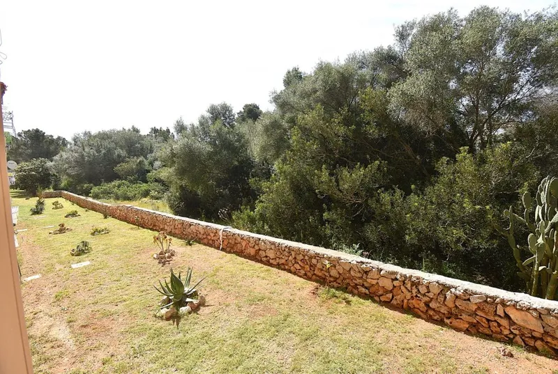 Apartment in Calas de Mallorca — photo 9