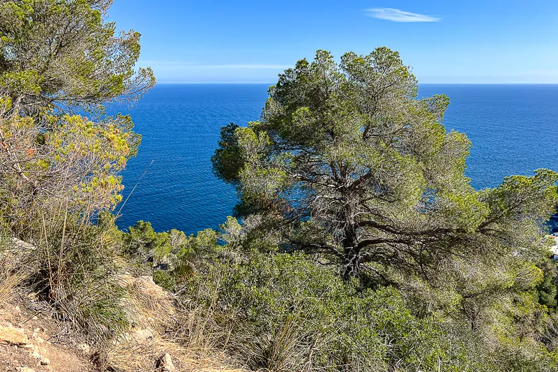 Attractive investment opportunity: Excellent plot with panoramic sea views — photo 3