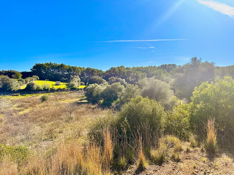 Building plot with marvellous views and project — photo 4