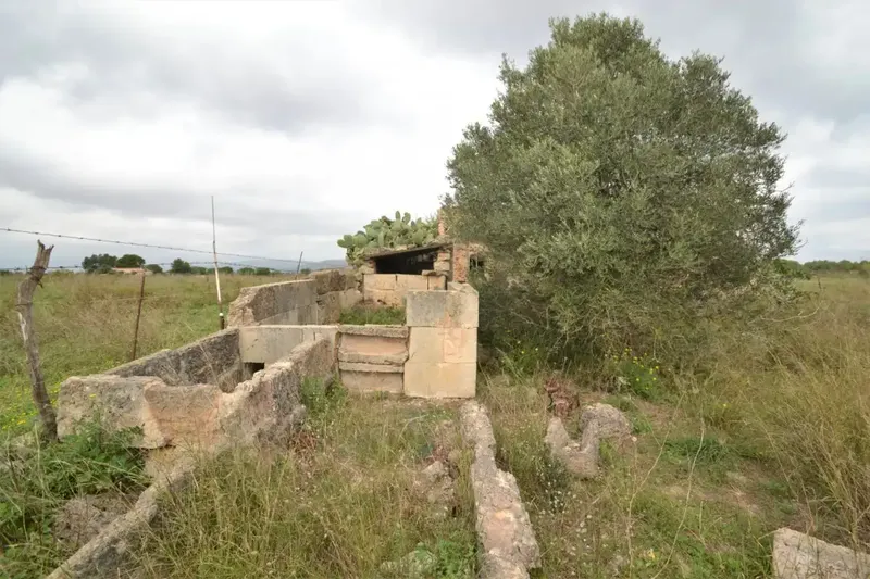 Plot of 24300 square meters with tool shed to renovate — photo 7