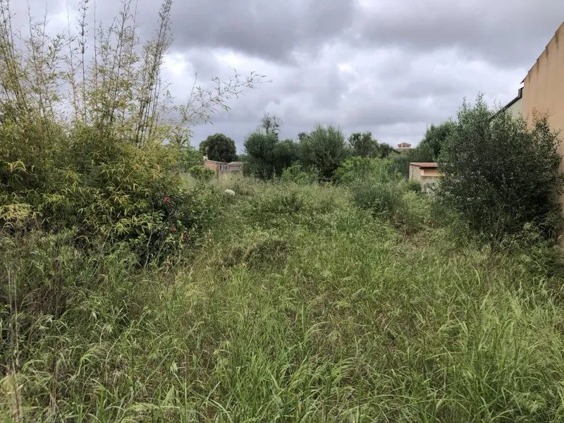 Plot of 735m2 with basic project and building license in Carrer des Cos 35A, Santanyi — photo 2