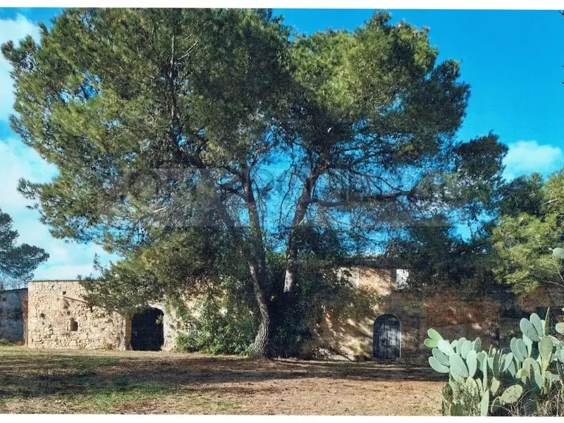 Rustic estate of 217,089 m² of own land, located between Felanitx and Porreres. It has a project for a rural hotel or agrotourism that — photo 1