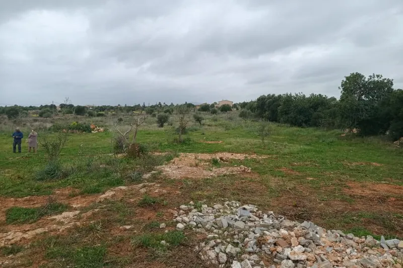 Flat plot with project near Manacor — T 09 — photo 2