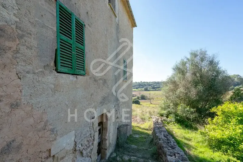 The Castell d'Amos estate, located in Costitx, has an area of 252,000 square meters and borders the municipalities of Sineu and Llor — photo 4