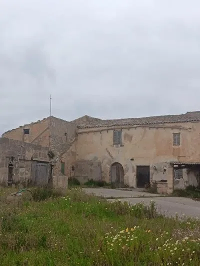 Stone house - Manacor (Manacor) — photo 8