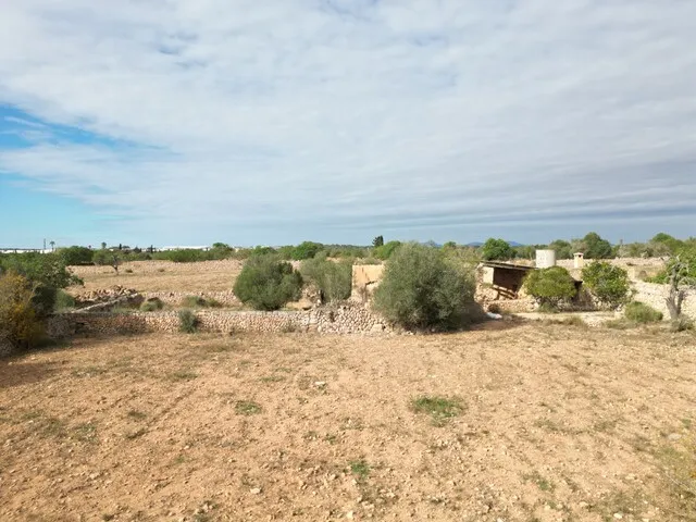 Countryside Plot with License and Project in Llucmajor, South Mallorca — photo 6