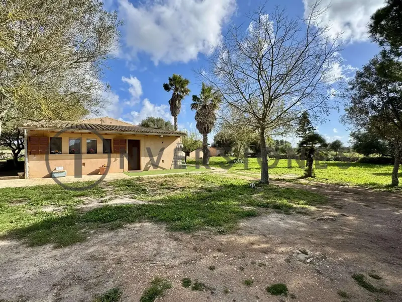 INVERSIONES GRUP REAL ESTATE BOUTIQUE presents this spectacular rustic finca on the outskirts of Felanitx, ideal for lovers of tranquility and nature, with the possibility of building a fully legal swimming pool. — photo 6