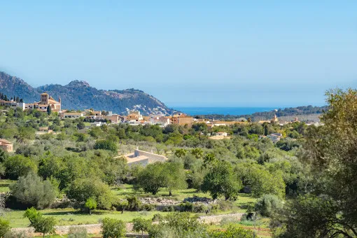 Arta, beautiful finca with sea views and pool as well as guest house near Arta — photo 6