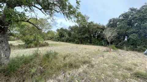 Plot — photo 1