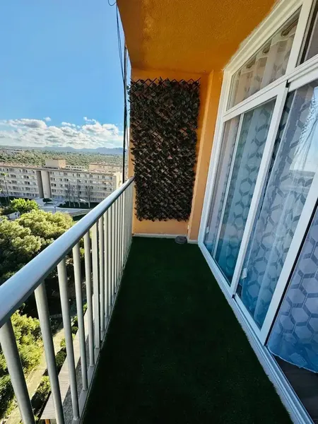 Discover this charming renovated studio located in Cales de Mallorca! — photo 1
