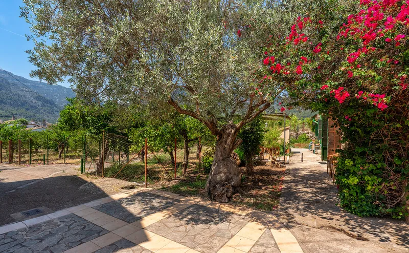 Charming Countryside Home with the Possibility of ... — photo 2